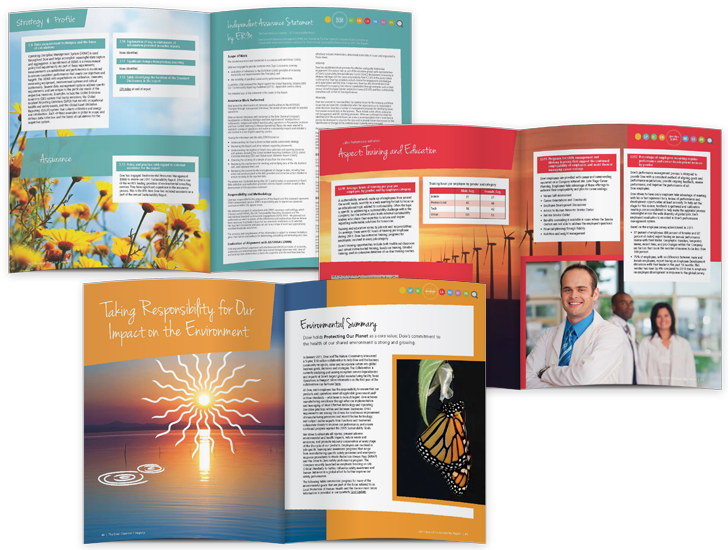 2011 Sustainability Annual Report