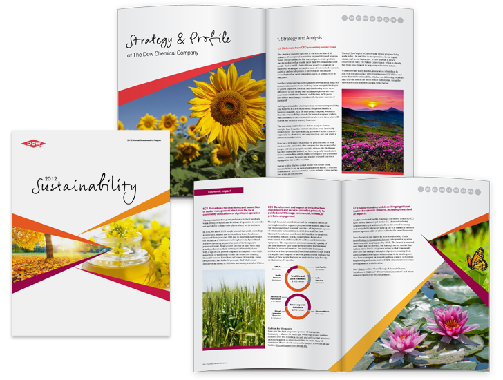 2012 Sustainability Report image