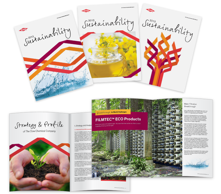2013 Sustainability Annual Report Concept Work