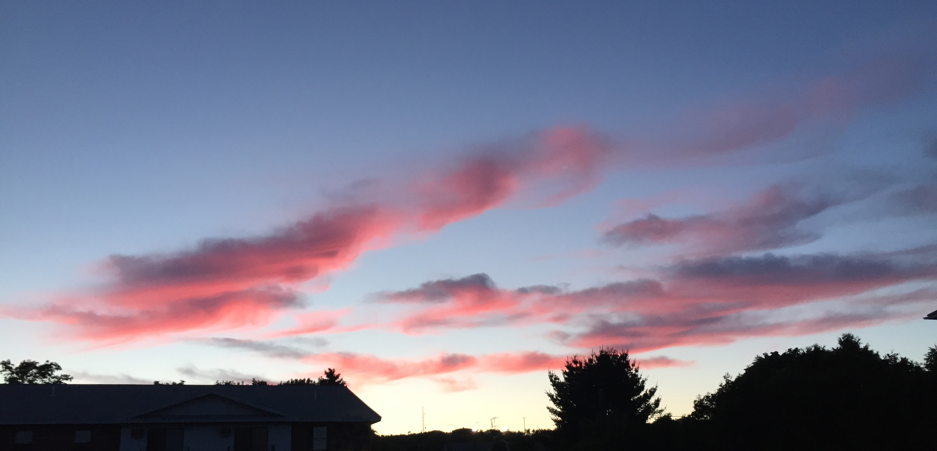 These area few of my favorite things...